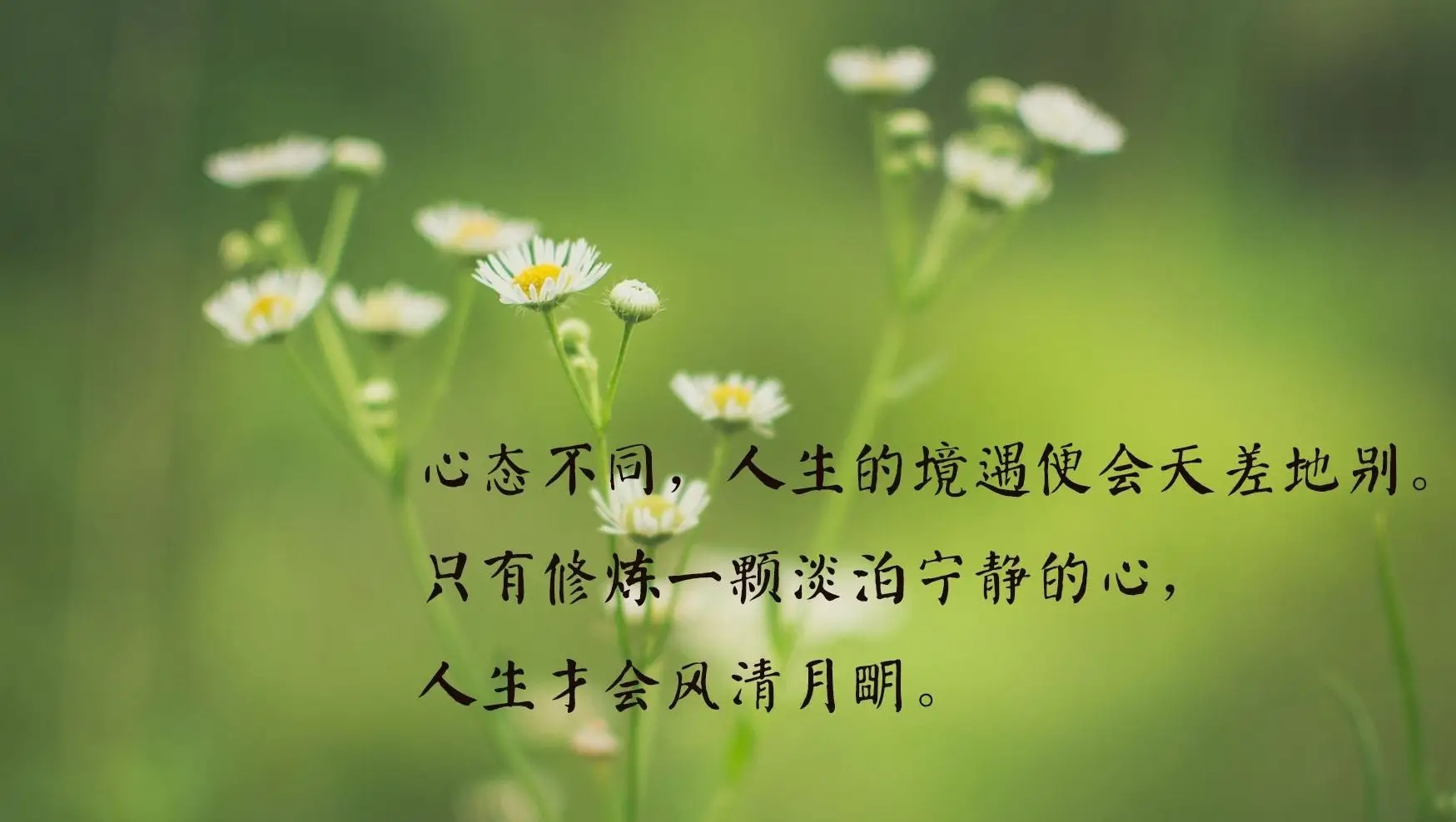 壳少女1_壳中少女吧_壳中少女 动漫