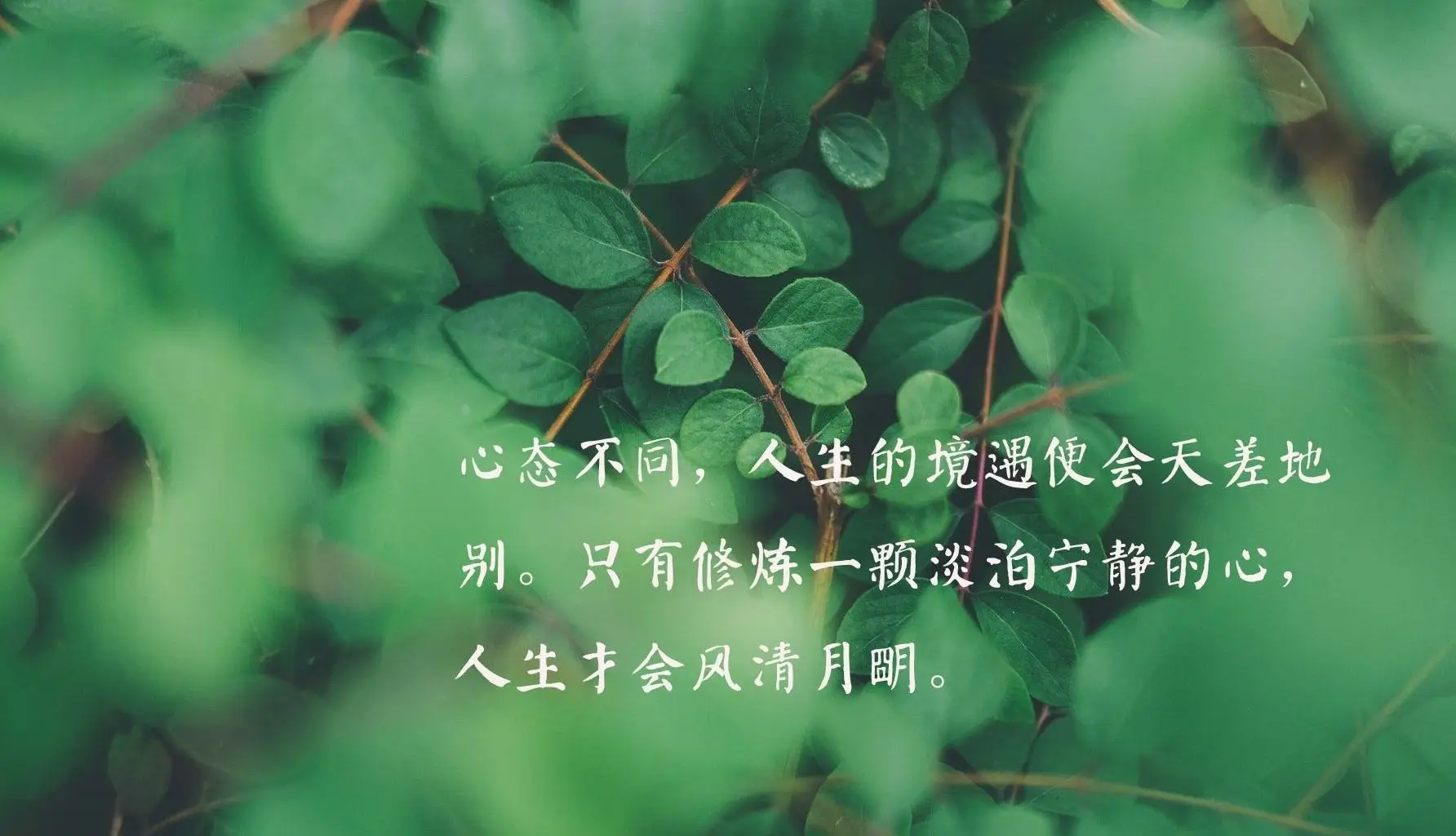 壳中少女吧_壳少女1_壳中少女 动漫