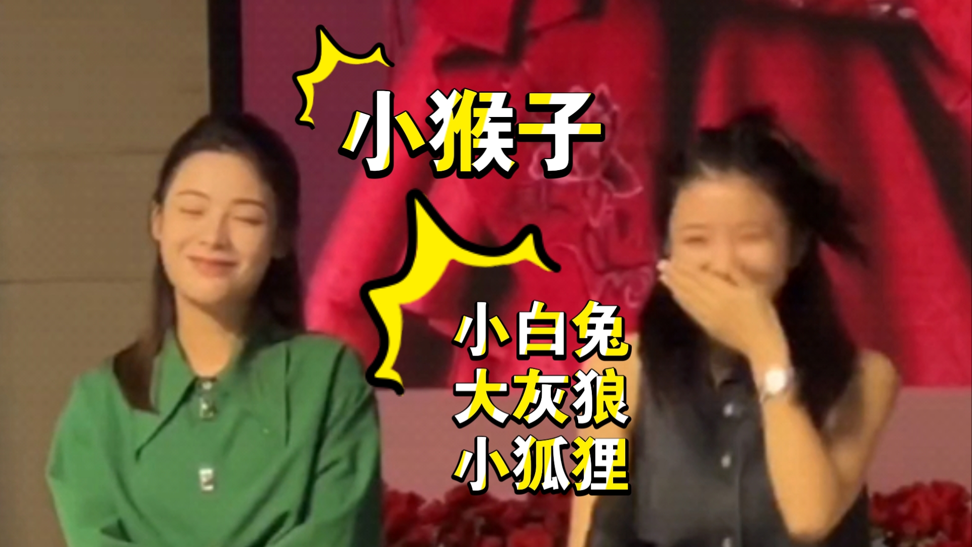 魔力学堂医生带猴子-普通医生与小猴子在魔力学堂的奇妙冒险之旅