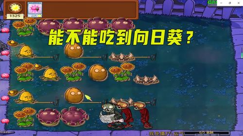 僵尸吃植物游戏