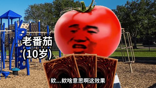 老番茄游戏系列,穿越时空的冒险之旅