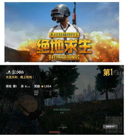 steam游戏吃鸡,Steam平台上的热门大逃杀游戏解析