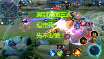 任王二游戏,一场智慧与勇气的巅峰对决