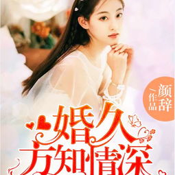 小说恋妻游戏,一场情感与权力的较量