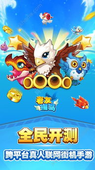 筐扣鸟游戏,畅玩无限乐趣