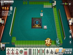 郑州游戏搭子,共创欢乐竞技时光