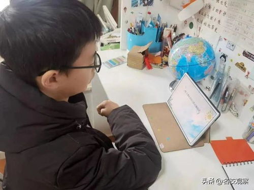 小杜小游戏,挑战你的智慧与反应速度