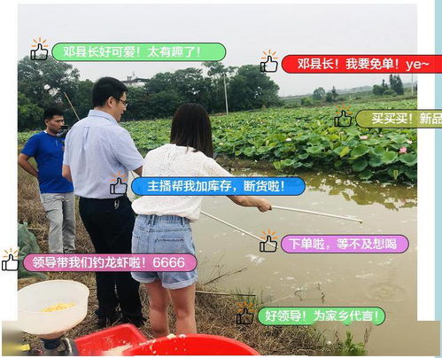 钓鱼直播现场游戏,趣味横生展现游戏魅力