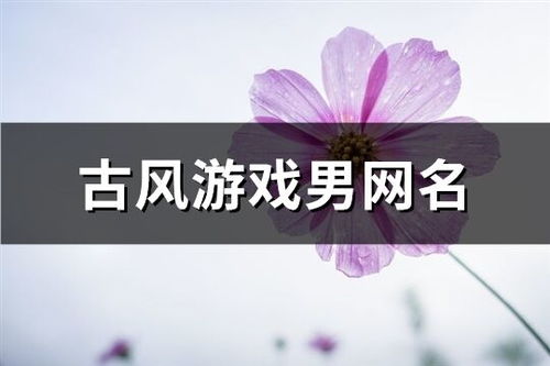 男生网名打游戏,男生网名背后的电竞风采