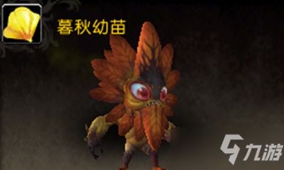酒馆扑克游戏攻略,轻松赢牌
