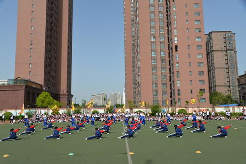郑州管城区游戏,探寻郑州历史文化与现代娱乐的交融之旅
