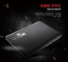 游戏本的描述,解析17.3英寸游戏本配置与性能优势