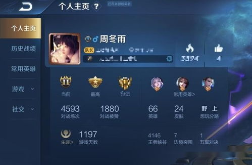 网名游戏id王者,个性彰显的战场风采