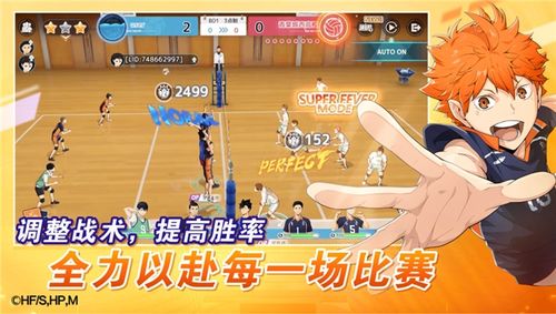 好的排球游戏,挑战极限——体验排球竞技巅峰之作
