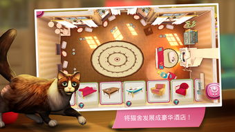 猫咪的游戏手机,带你领略萌宠魅力