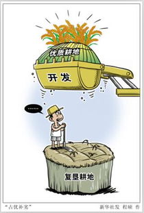 占土地的游戏,如何高效占领土地与资源