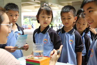 游园科学小游戏,探索幼儿科学小游戏的创新与实践