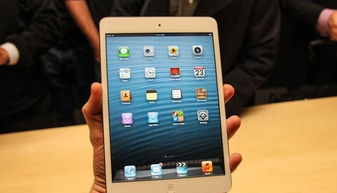 ipad外服收纳游戏,打造专属游戏乐园的秘籍指南