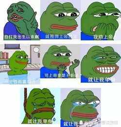 煲毒鸡汤游戏,揭秘生活中的苦涩滋味