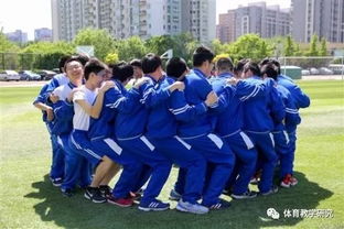 团体游戏大全视频,团队凝聚力提升攻略