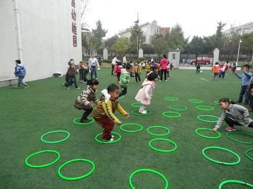 室外体育小游戏,团队协作与乐趣并存的户外体验