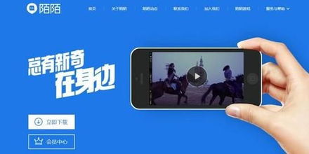 陌陌游戏级别,揭秘陌陌游戏级别成长之旅