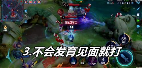 游戏吵架王者荣耀,爱与争执的交织