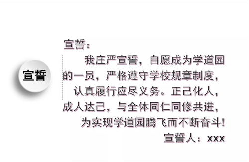 游戏客服转正答辩,游戏客服岗位胜任力展示与转正答辩概览