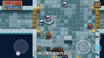 跳毛缸游戏,挑战极限的趣味竞技游戏体验