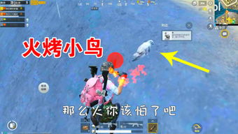 炮芯手游戏,体验极致射击快感