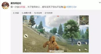 荒野游戏情侣,情侣共闯荒野乱斗的甜蜜冒险