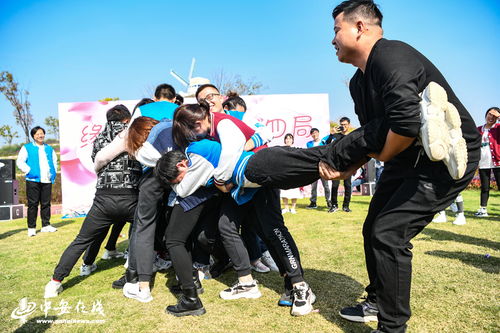 综艺人墙游戏,趣味团建游戏中的团队协作挑战之旅”