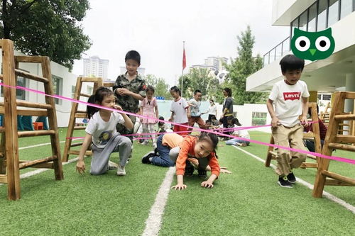 幼儿跳绳自主游戏,趣味探索与技能提升之旅
