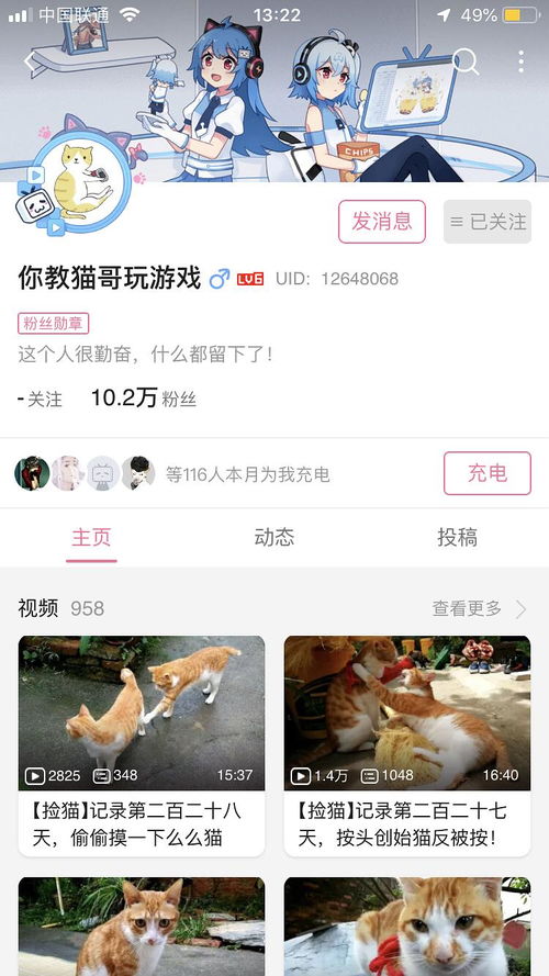 b站猫咪游戏,B站独家呈现