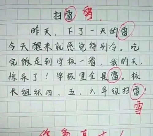 错别字作文游戏,错别字作文游戏的乐趣与智慧