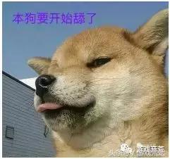 舔狗打游戏,游戏中的情感博弈与自我救赎