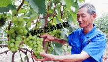 花田玩游戏,趣味游戏体验记