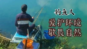 秒沅小游戏,秒速闯关的奇幻冒险之旅
