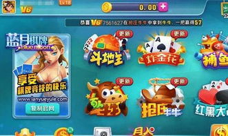养卡类游戏,探索策略与成长的养成类游戏世界