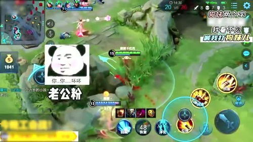 玩游戏哄人,娱乐与成长的平衡之道
