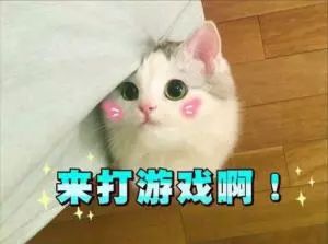 打游戏碰到心动,缘起指尖