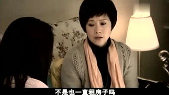 刘洋游戏解说,游戏解说中的文化使者与激情演绎者