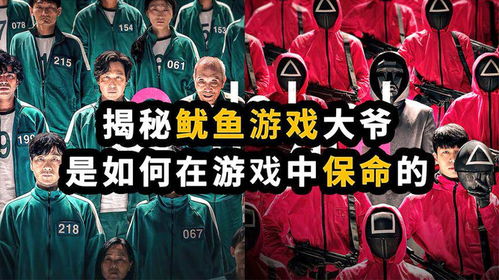如游戏要胜出,如何从新手到胜者的蜕变之路