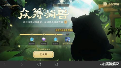 游戏众筹号,揭秘热门游戏项目背后的故事