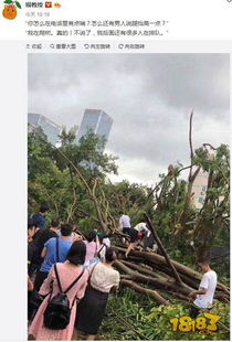 台风山竹游戏,台风山竹大作战手游体验记
