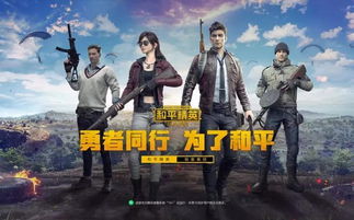 和平精英图片游戏,枪林弹雨中的生存挑战