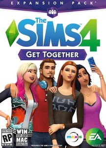 sims4游戏,Sims4游戏中的生活艺术与社区构建