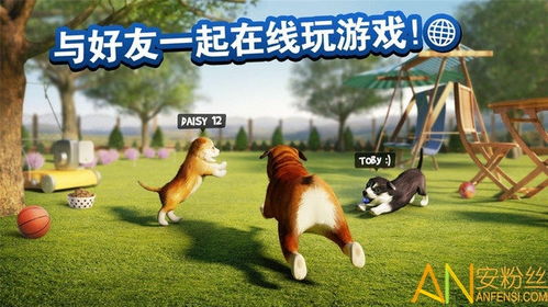 狗1啥游戏,探寻神秘游戏世界的奇幻冒险之旅