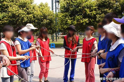 团建拓展游戏道具,激发团队协作与创新的多元选择