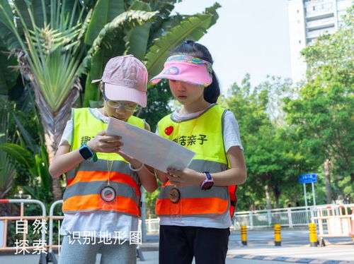 户外游戏观察方向,幼儿行为发展与社会技能培养的实证研究